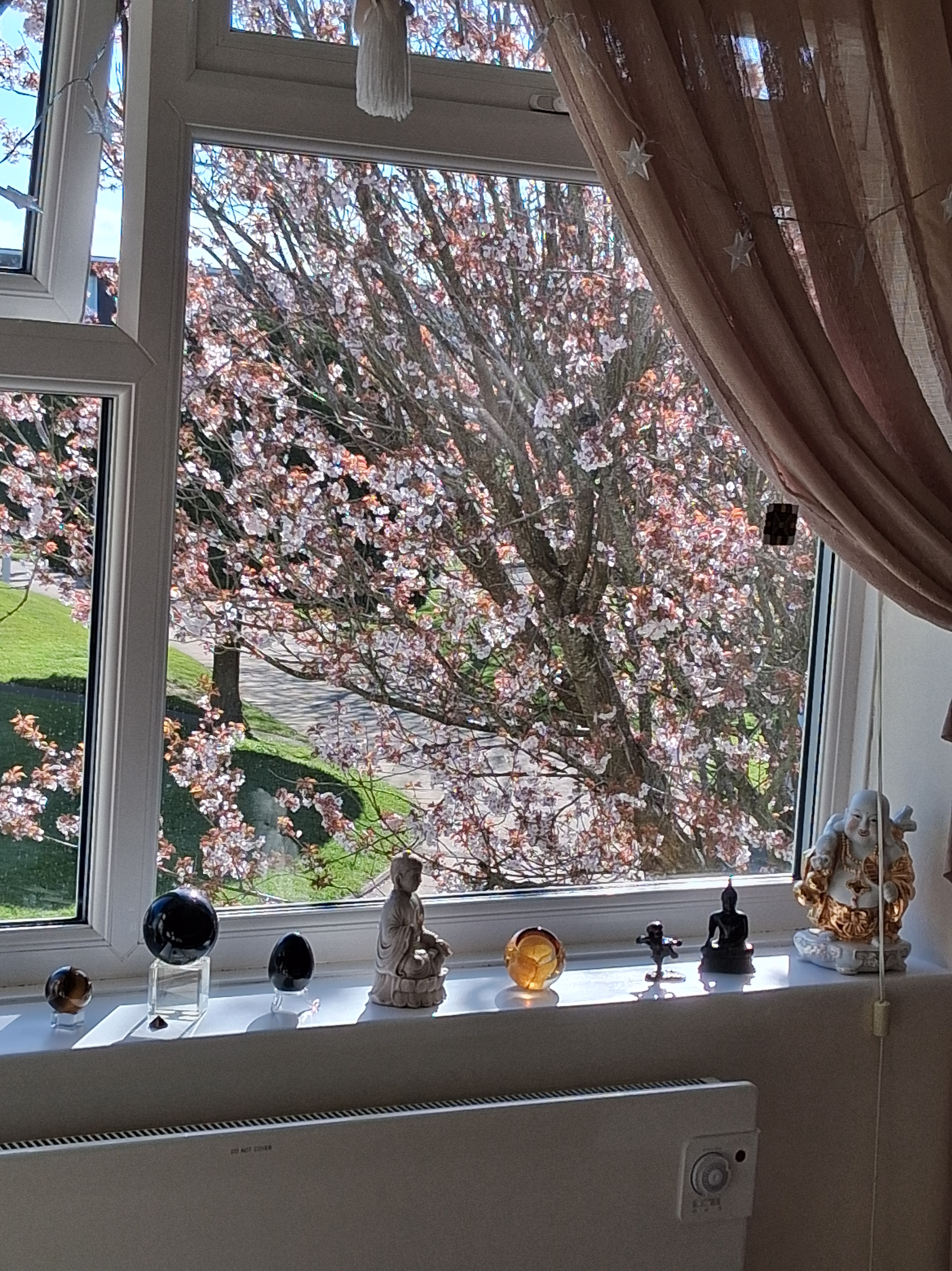 Window with cherry blossom and Buddha figurines